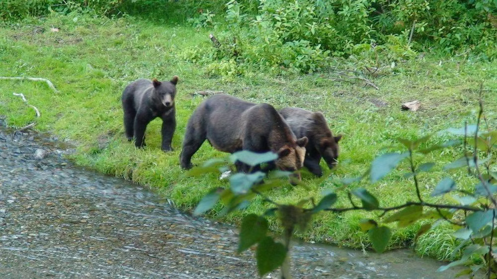 Come visit Bear River RV Park